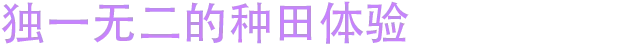 月霜技能提升图