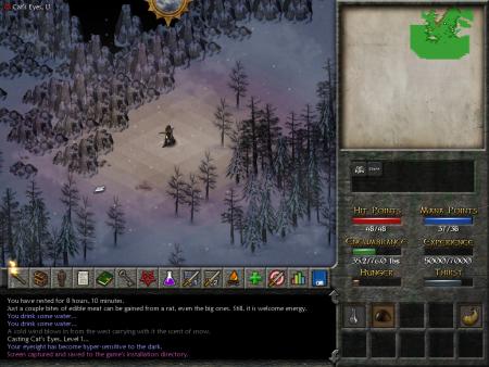 Screenshot z Eschalon: Book 2