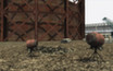 Screenshot #3