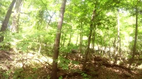 Lakeview Cabin IV trailer