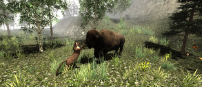 Untamed: Life Of A Cougar screenshot thumbnail video