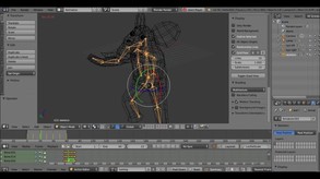 Wild Animal Racing screenshot thumbnail video