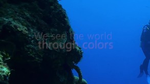 CyberLink ColorDirector 4 screenshot thumbnail video