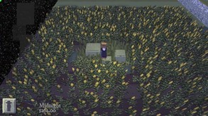 The Real Texas screenshot thumbnail video