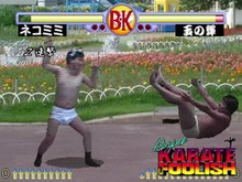 Brief Karate Foolish screenshot thumbnail video