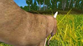 Hunting Unlimited 2009 screenshot thumbnail video