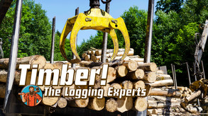 Timber! The Logging Experts screenshot thumbnail video