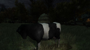 The Cows Are Watching Trailer