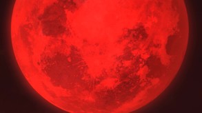 Announcement Trailer - PEGI