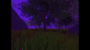 Gameplay
