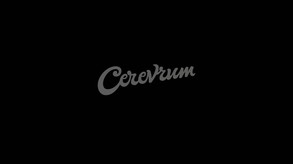 Cerevrum Game
