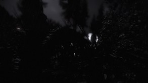 Reflecting Fate screenshot thumbnail video