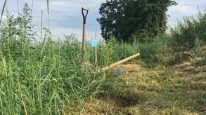 In the Raven Shadow screenshot thumbnail video