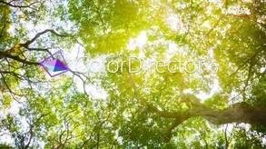 CyberLink ColorDirector 6 Ultra screenshot thumbnail video