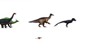Dinosaur Parade video thumbnail for Tyto Ecology - Cretaceous Mongolia