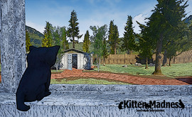 Kitten Madness official trailer