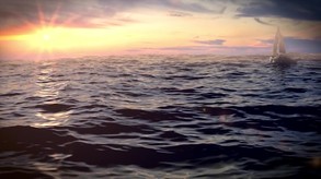 Reef Shot screenshot thumbnail video