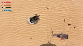 Turtle Quest - Game-Play