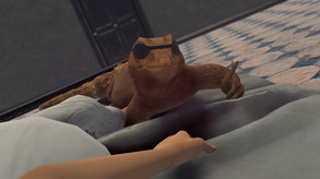 Видео
