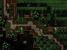 The Frosty Leaves 寒叶下的薄冰 screenshot thumbnail video