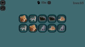 Animals Memory: Cats screenshot thumbnail video