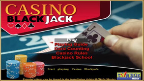Casino Blackjack screenshot thumbnail video