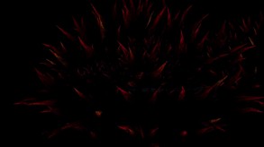 Accolades Trailer-en