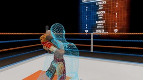 Virtual Boxing League
