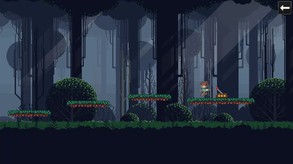 Platform Challenge
