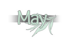 May screenshot thumbnail video