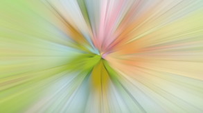 Color by Numbers - Flowers