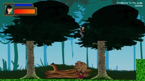 Gameplay