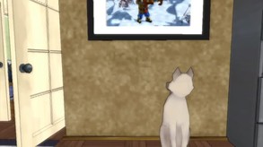 Kitty Play