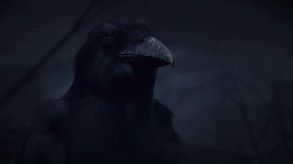 Video 6