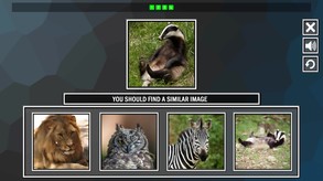 Repeat the image: Animals
