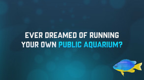 巨型水族馆-游戏截图