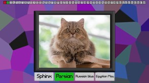 Test your knowledge: Cats screenshot thumbnail video