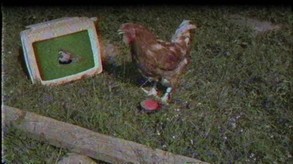 Old School Musical screenshot thumbnail video