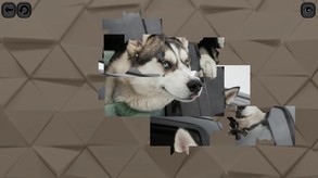 Puzzles for smart: Dogs screenshot thumbnail video