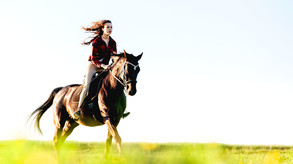 My Riding Stables: Your Horse breeding screenshot thumbnail video