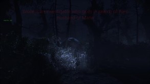 The Occluder