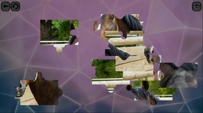 Puzzles for smart: Horses screenshot thumbnail video