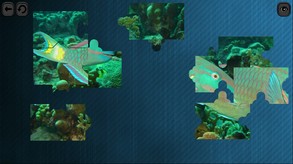 Puzzles for smart: Underwater Kingdom screenshot thumbnail video