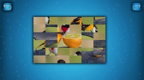 PUZZLE: BIRDS screenshot thumbnail video