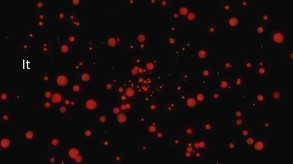 Ideology in Friction screenshot thumbnail video