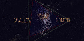 旅燕归航 Swallow Homing screenshot thumbnail video