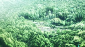 茂伸奇谈 合集版-游戏截图