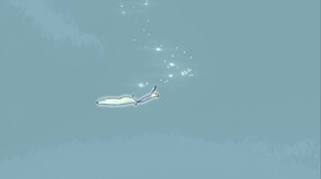 THE TEAR screenshot thumbnail video