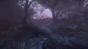The Cursed Forest screenshot thumbnail video