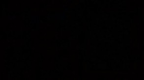 Memory Trees : Game system